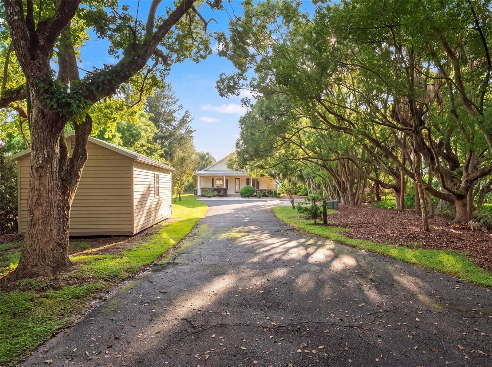 7751 SADLER ROAD, Mount Dora, FL 32757 7751 SADLER ROAD, Mount Dora, FL 32757