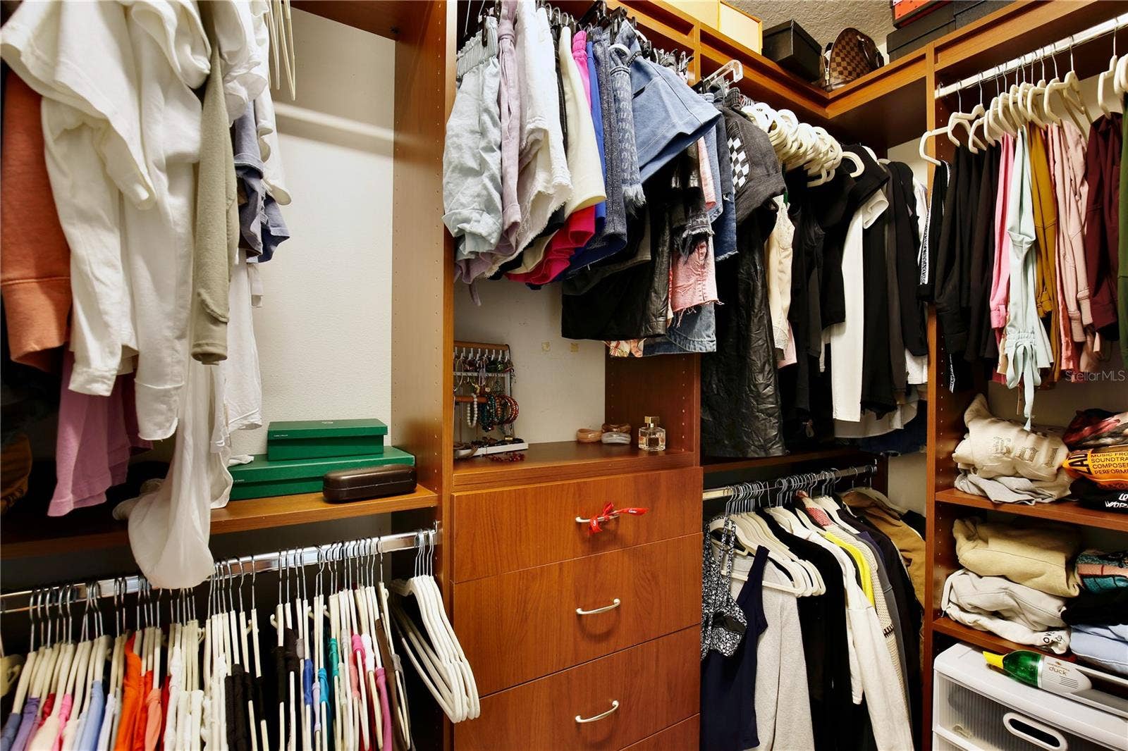 100 S EOLA DRIVE, #1413, Orlando, FL 32801 Primary Walk-in Closet