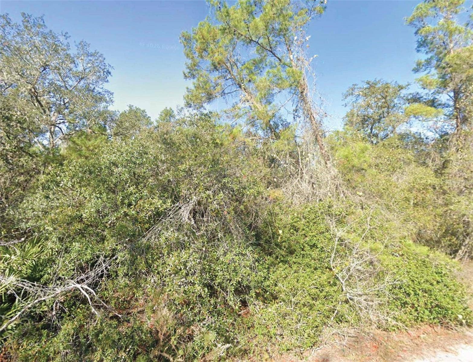 FISHER TRAIL, Ocklawaha, FL 32179