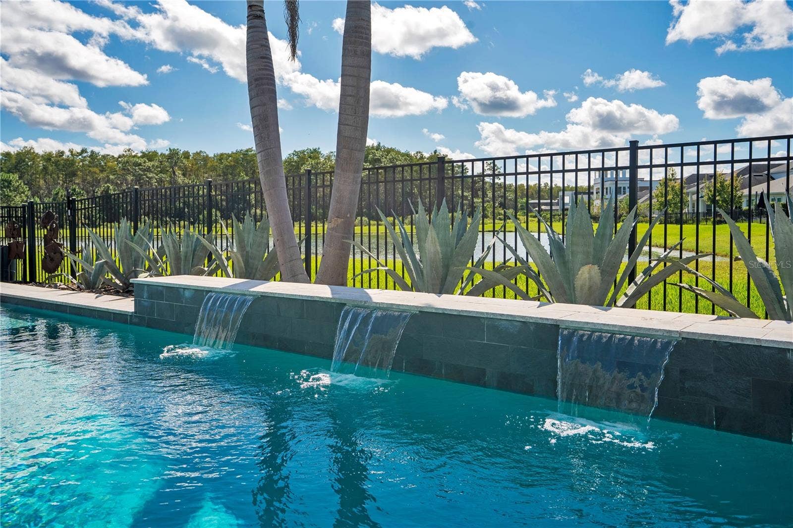 8336 CANETTI STREET, Orlando, FL 32827 Spa spillover into the heated salt water pool with a fenced backyard and tropical landscaping.