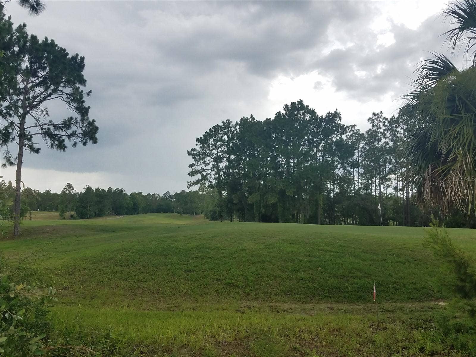 636 HICKORY COURSE LOOP, Ocala, FL 34472