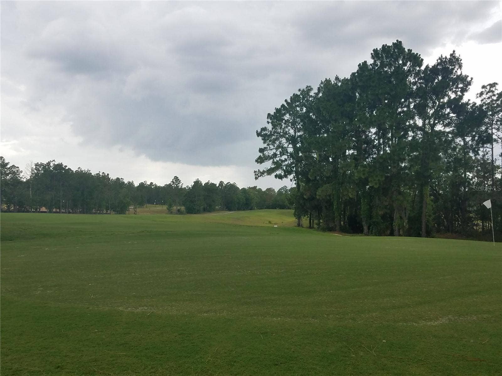 636 HICKORY COURSE LOOP, Ocala, FL 34472