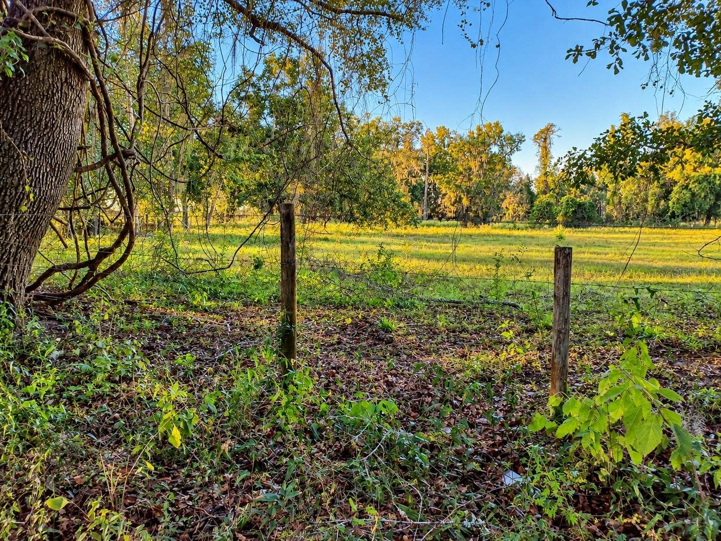 NW CHICKEN ROAD, Madison, FL 32340 NW CHICKEN ROAD, Madison, FL 32340