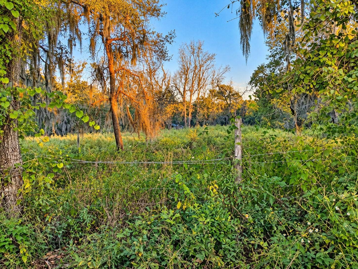 NW CHICKEN ROAD, Madison, FL 32340 NW CHICKEN ROAD, Madison, FL 32340