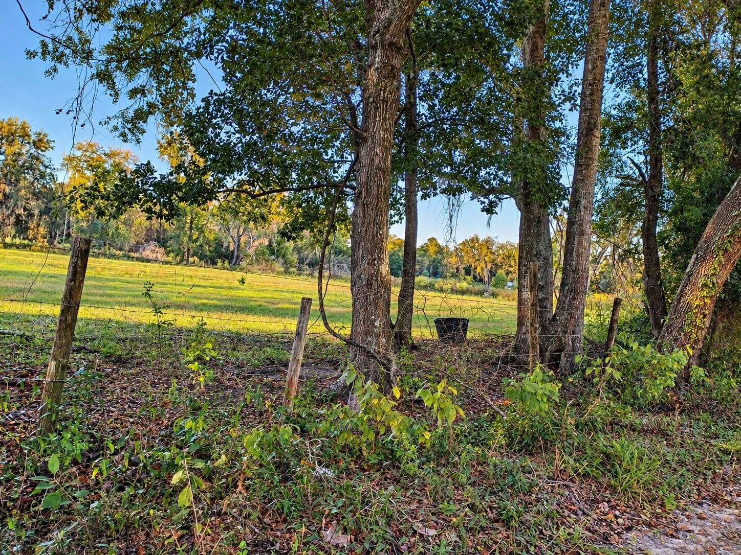 NW CHICKEN ROAD, Madison, FL 32340 NW CHICKEN ROAD, Madison, FL 32340