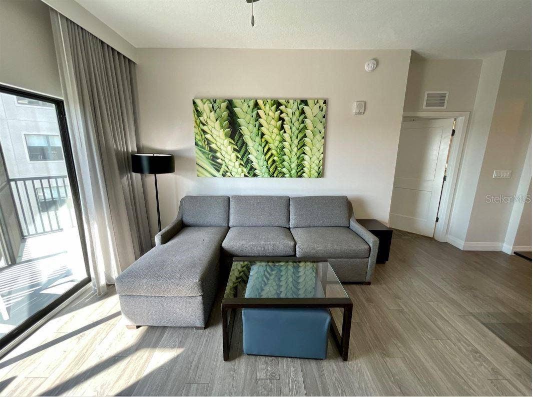Couch has a fold-out bed