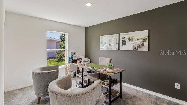 13250 SNOWY PLOVER AVENUE, Weeki Wachee, FL 34614 Model home - actual features may vary.