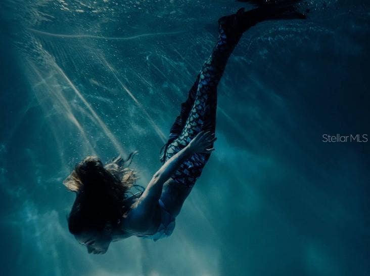 13250 SNOWY PLOVER AVENUE, Weeki Wachee, FL 34614 Catch the infamous mermaid show.