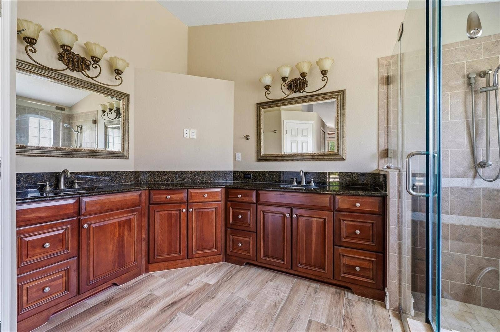 18806 CHEMILLE DRIVE, Lutz, FL 33558