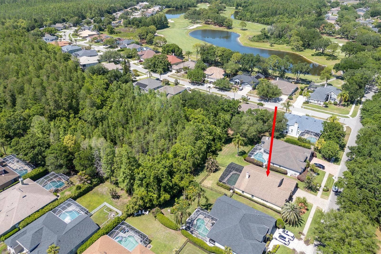 18806 CHEMILLE DRIVE, Lutz, FL 33558