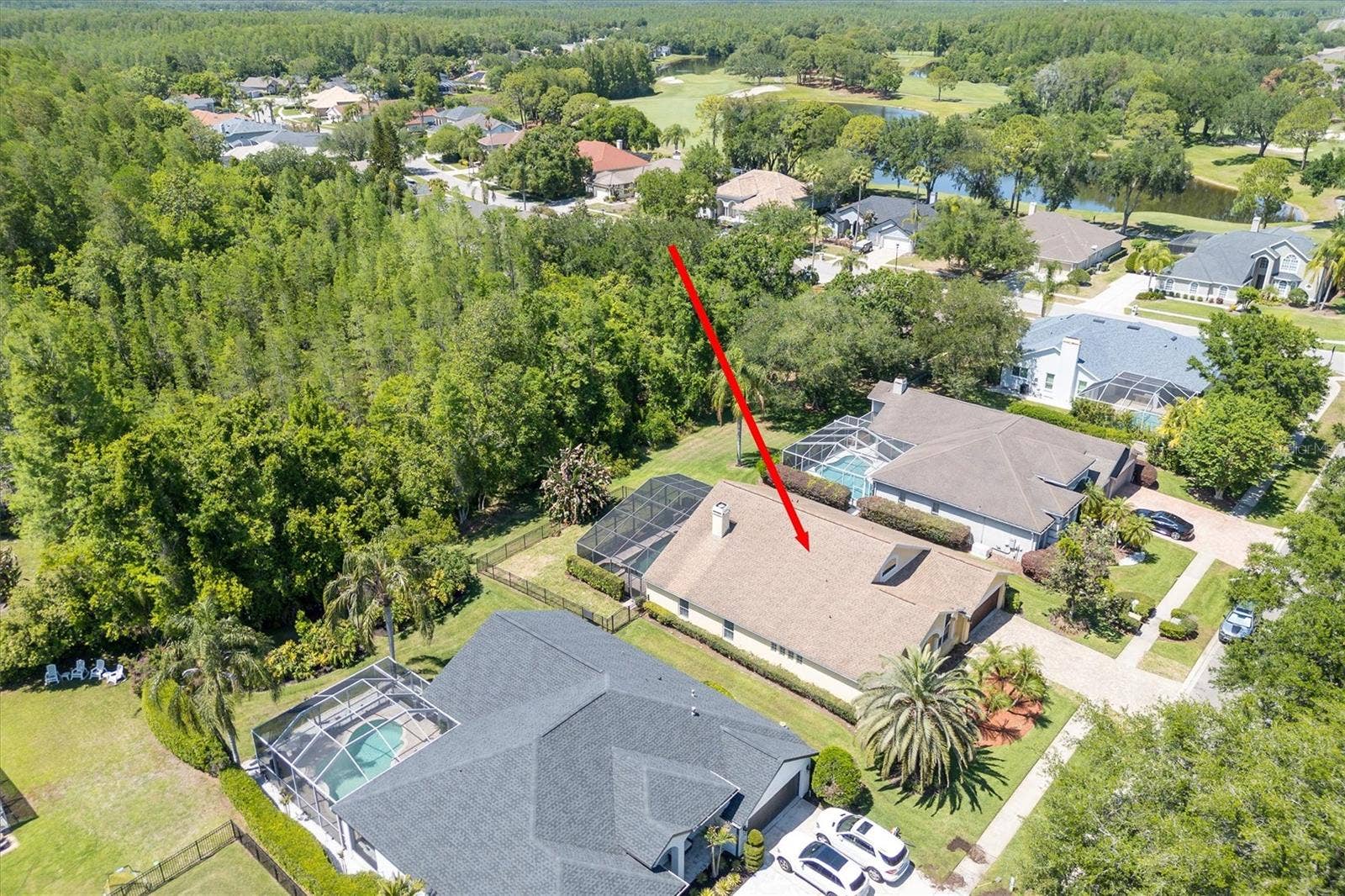 18806 CHEMILLE DRIVE, Lutz, FL 33558