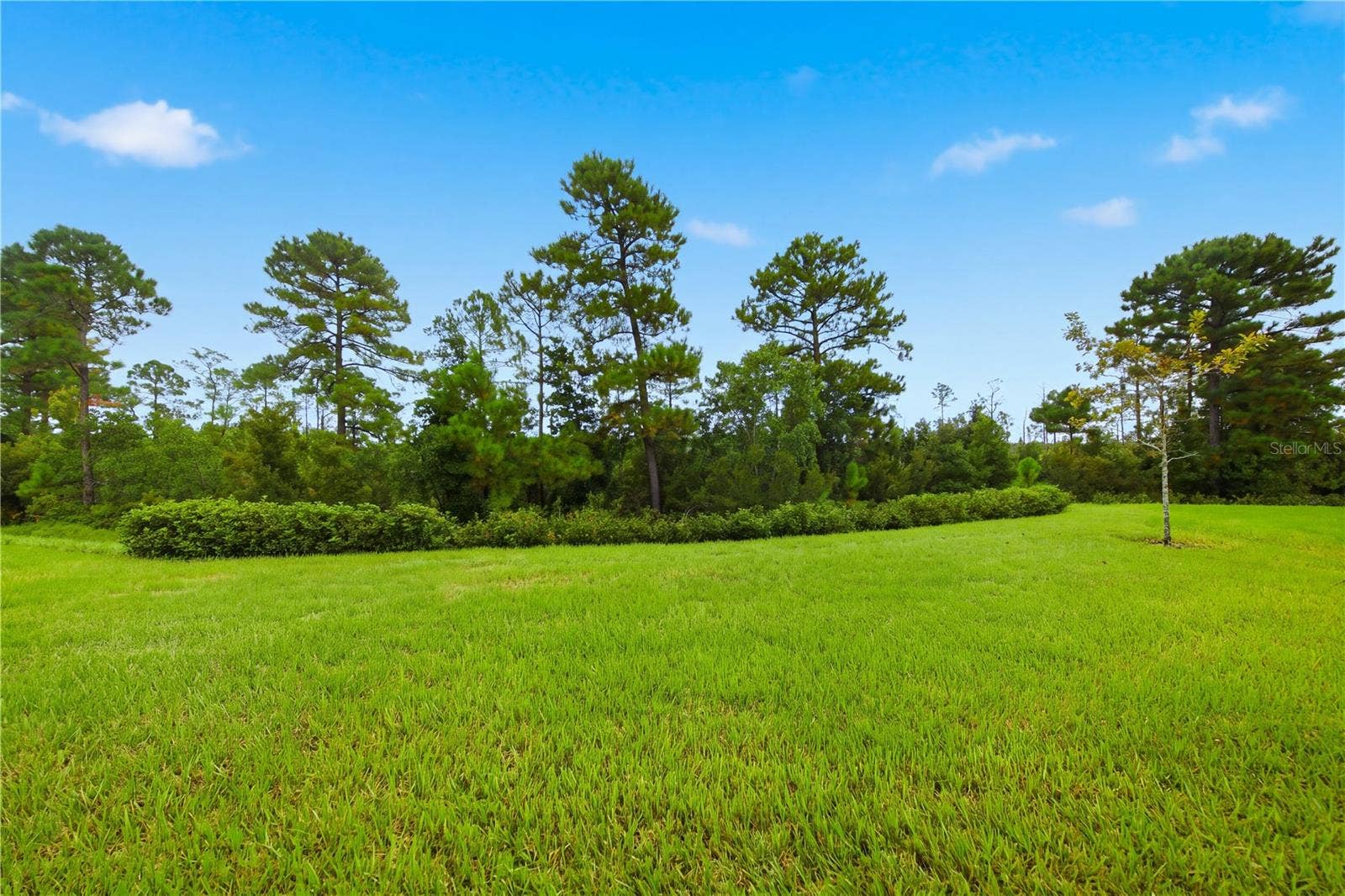 2769 CHERRY BLOSSOM LOOP, St Cloud, FL 34771 2769 CHERRY BLOSSOM LOOP, St Cloud, FL 34771