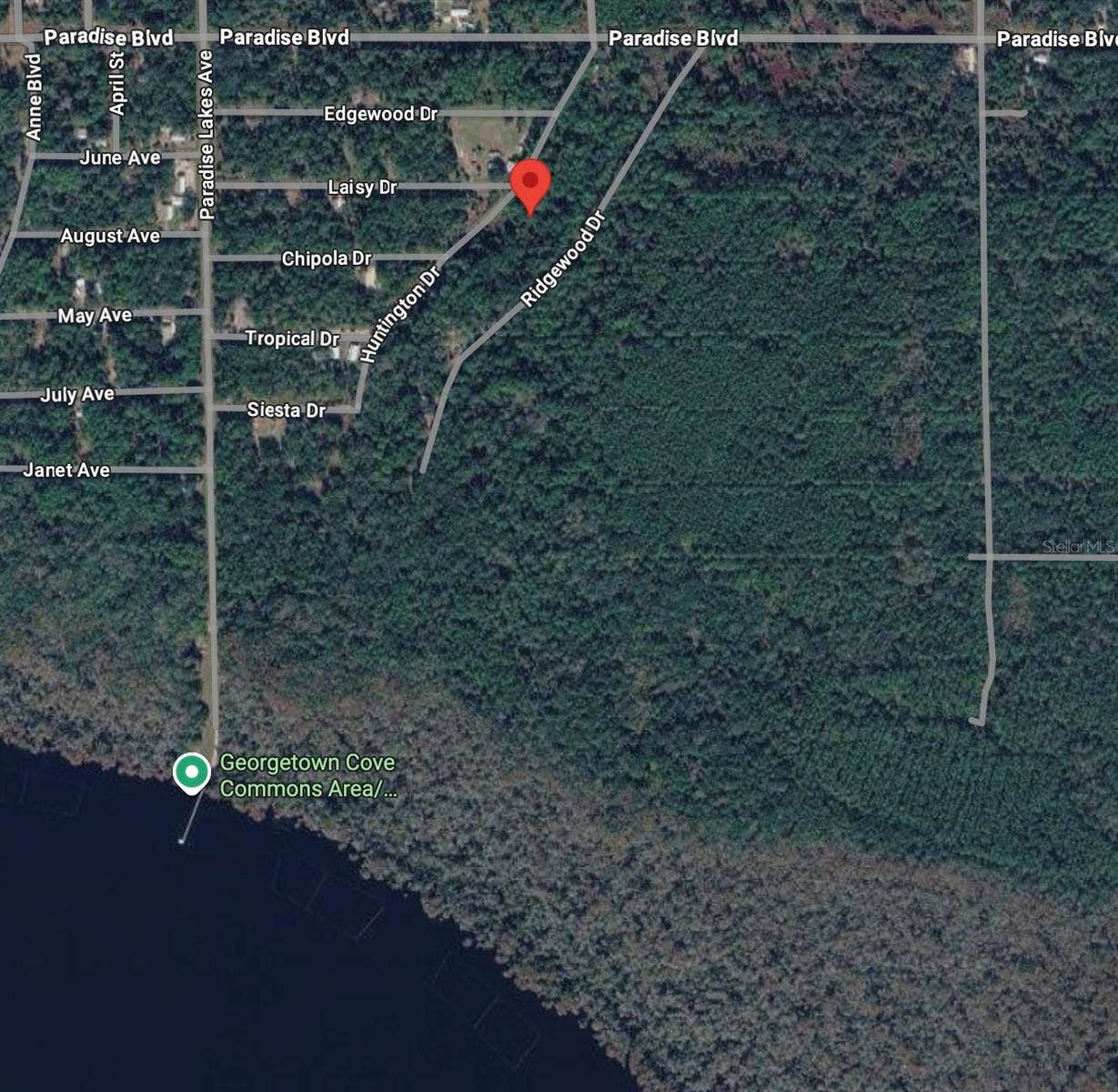 118 HUNTINGTON DRIVE, Georgetown, FL 32139