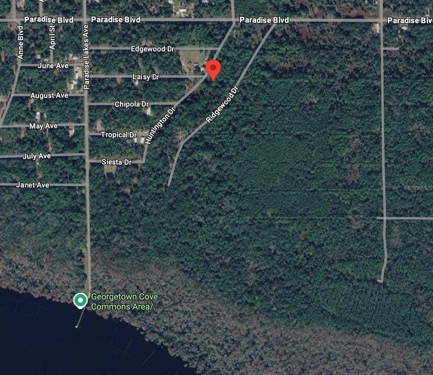 116 HUNTINGTON DRIVE, Georgetown, FL 32139