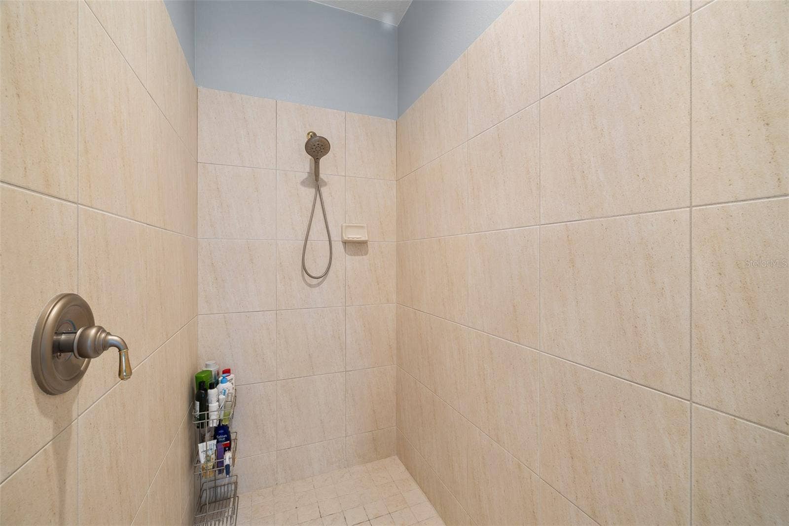 13618 LARSEN LANE, Winter Garden, FL 34787 13618 LARSEN LANE, Winter Garden, FL 34787