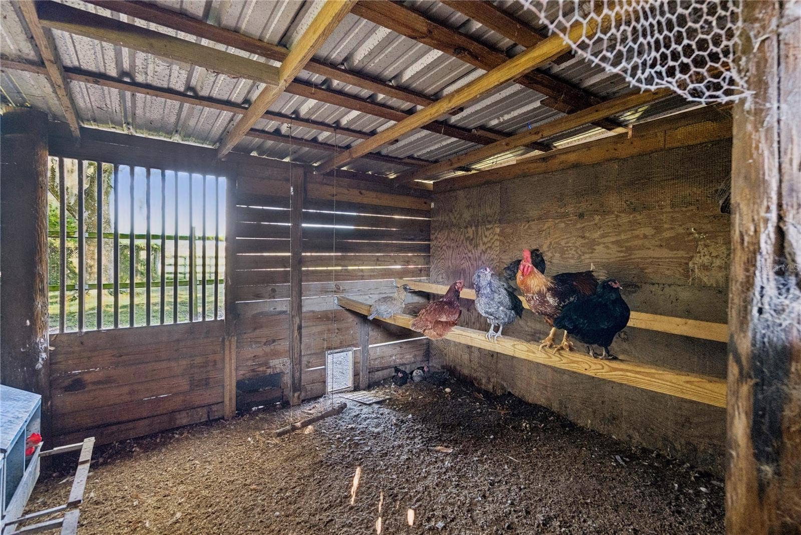 1350 ARAPAHO TRAIL, Geneva, FL 32732 Chicken coop