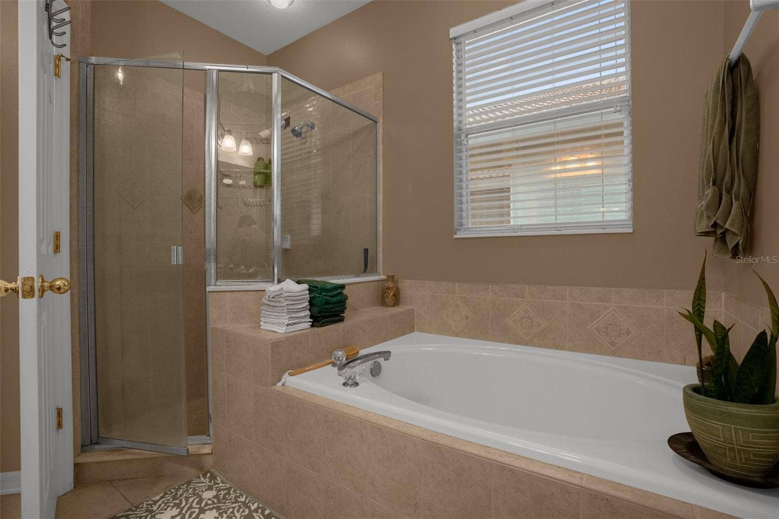 8002 SAINT ANDREWS WAY, Mount Dora, FL 32757