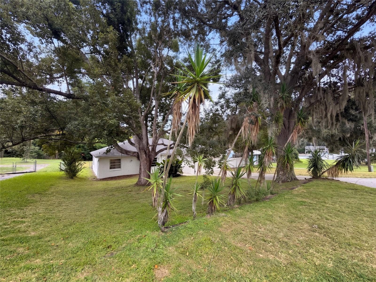 12054 JOE HERRMANN DRIVE, San Antonio, FL 33576 12054 JOE HERRMANN DRIVE, San Antonio, FL 33576