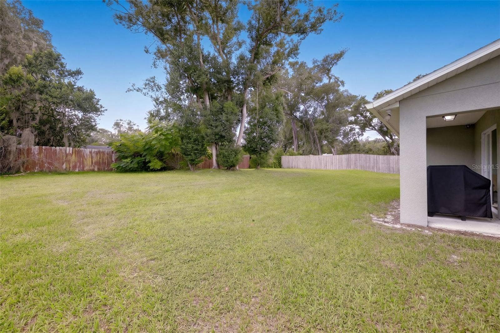 330 W ELM DRIVE, Orange City, FL 32763 Backyard