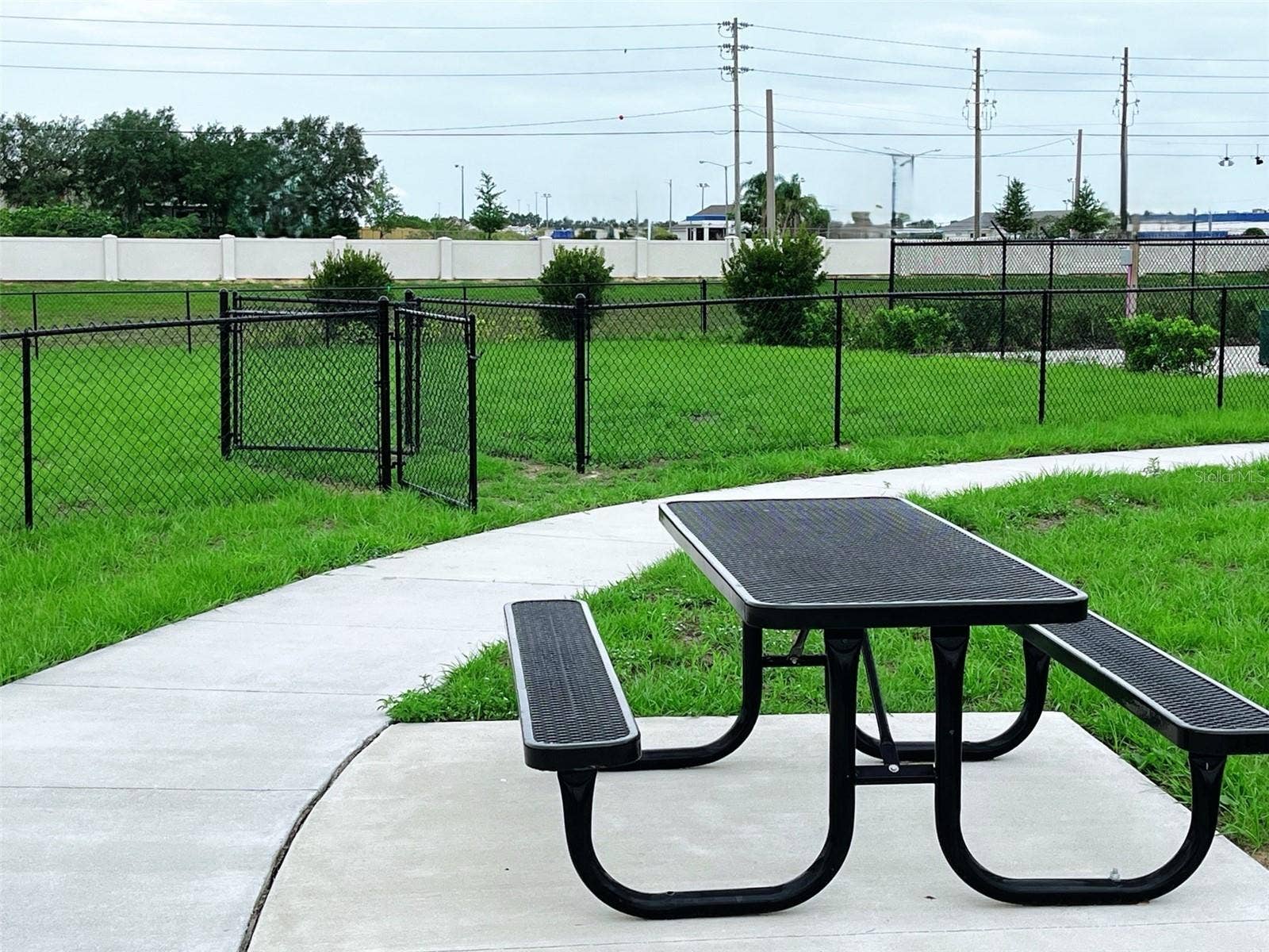 Community Dog Park