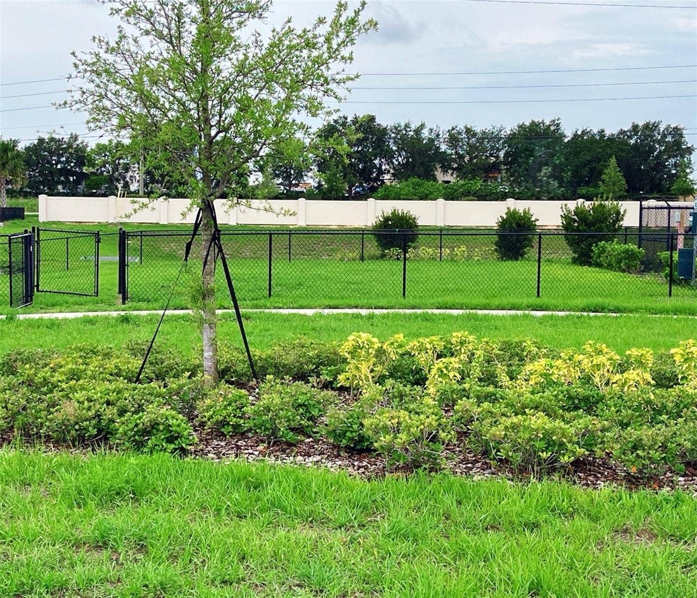 Community Dog Park