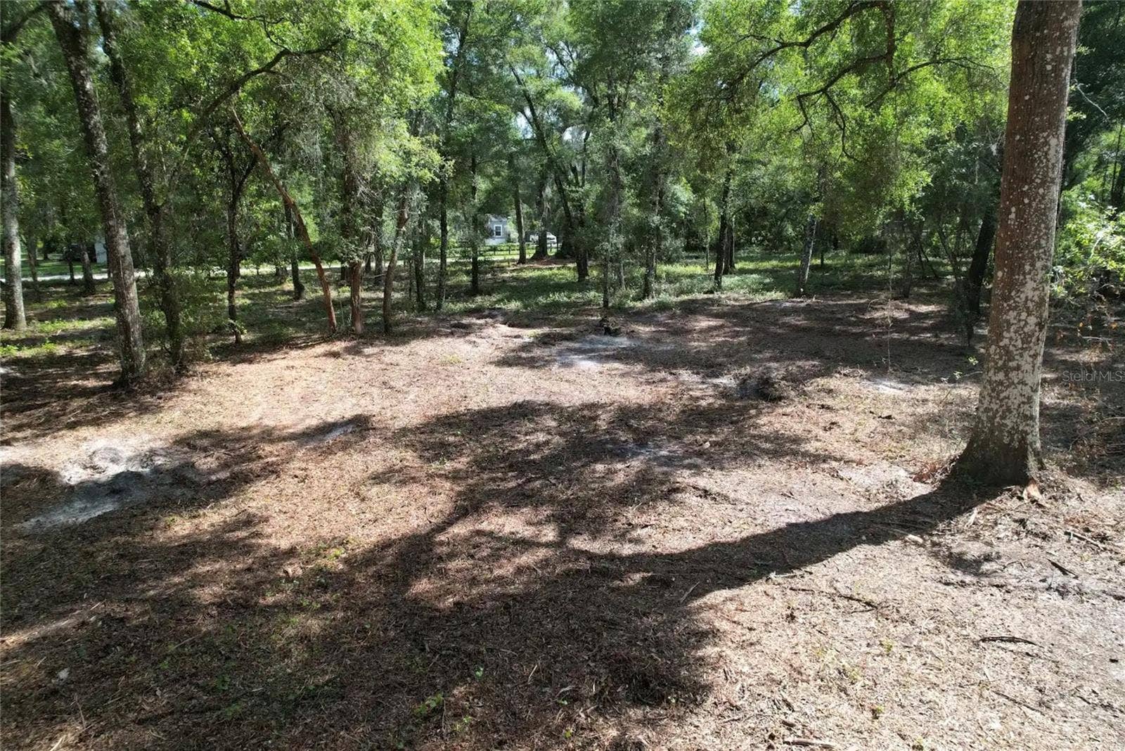 00 SE 30TH AVENUE, Summerfield, FL 34491 00 SE 30TH AVENUE, Summerfield, FL 34491