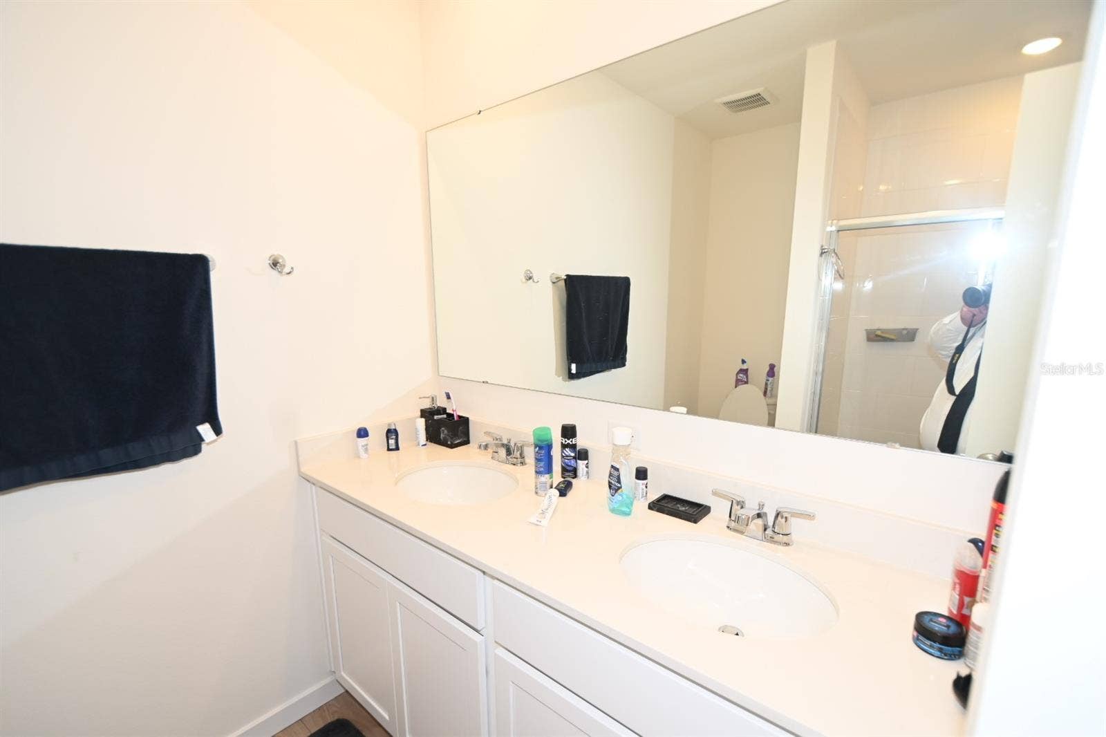 3306 BRIARWOOD GROVE DRIVE, Ocoee, FL 34761
