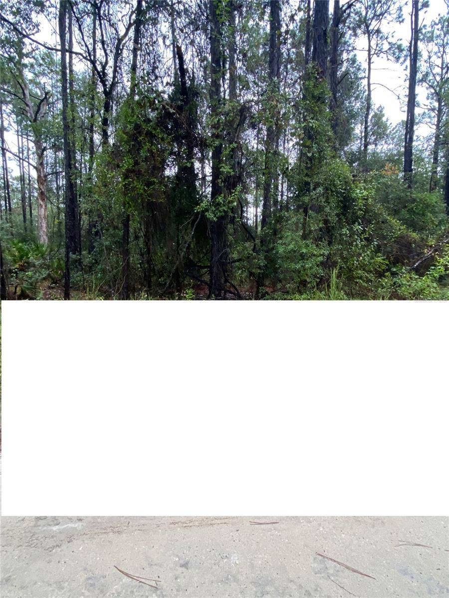 TBD SW 27TH LANE, Ocala, FL 34481