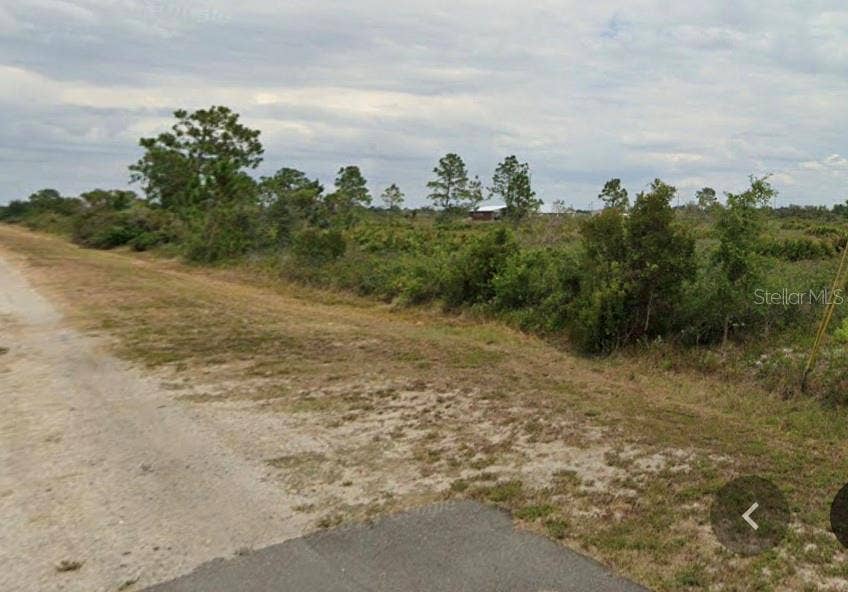 2842 W BUTKUS ROAD, Avon Park, FL 33825 2842 W BUTKUS ROAD, Avon Park, FL 33825