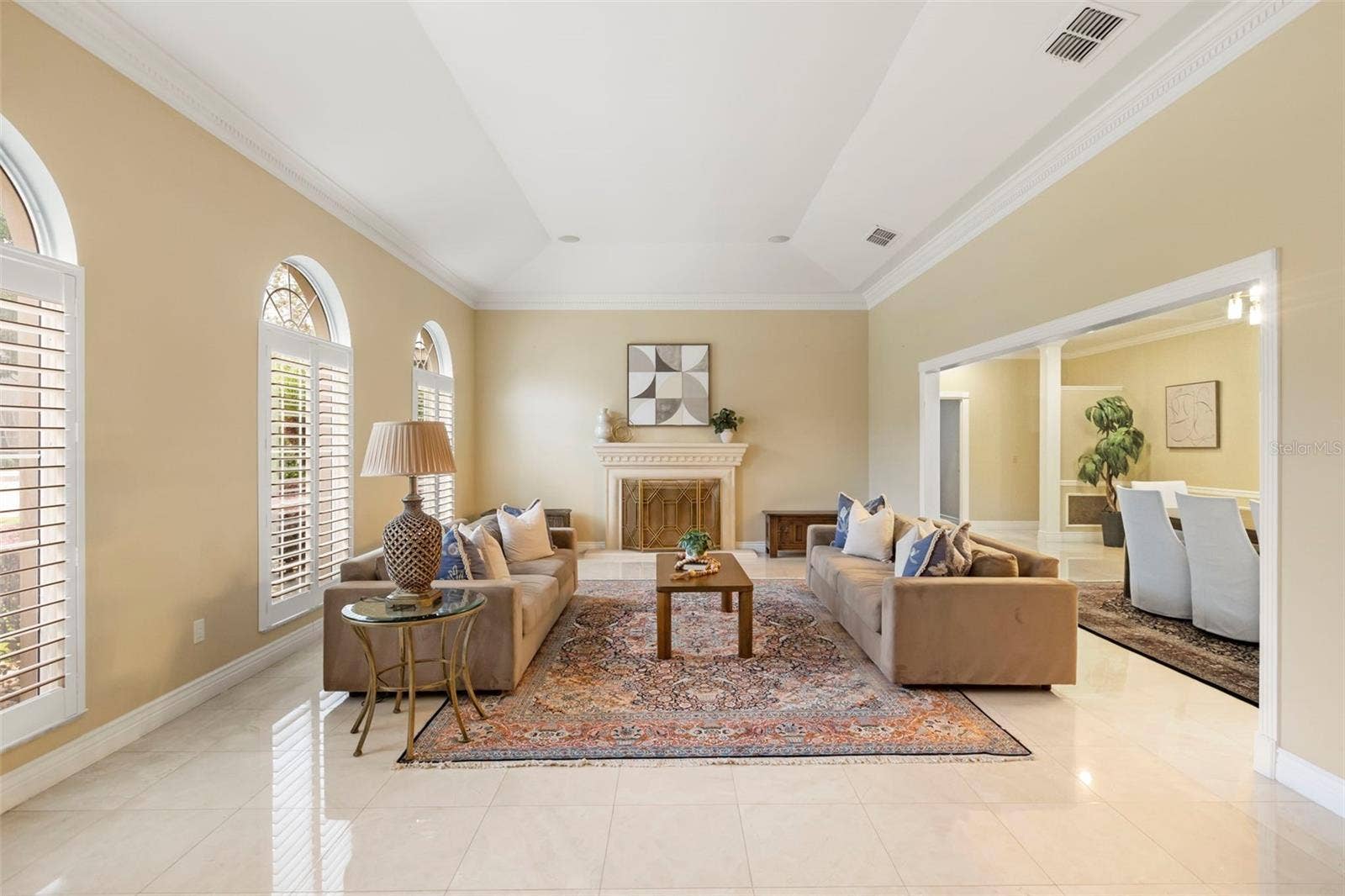 Living Room & Fireplace #1