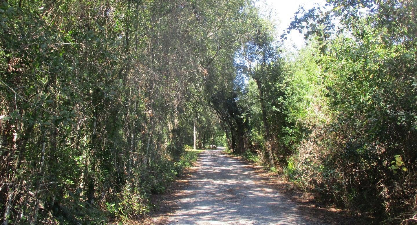 9687 SUNDERSON ROAD, Orlando, FL 32825 Private Driveway leading to property