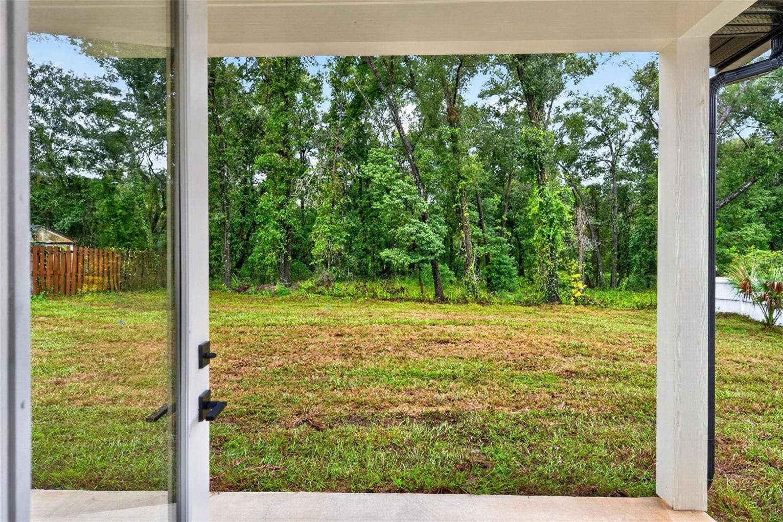 381 CARRIAGE LANE, Lady Lake, FL 32159 Backyard