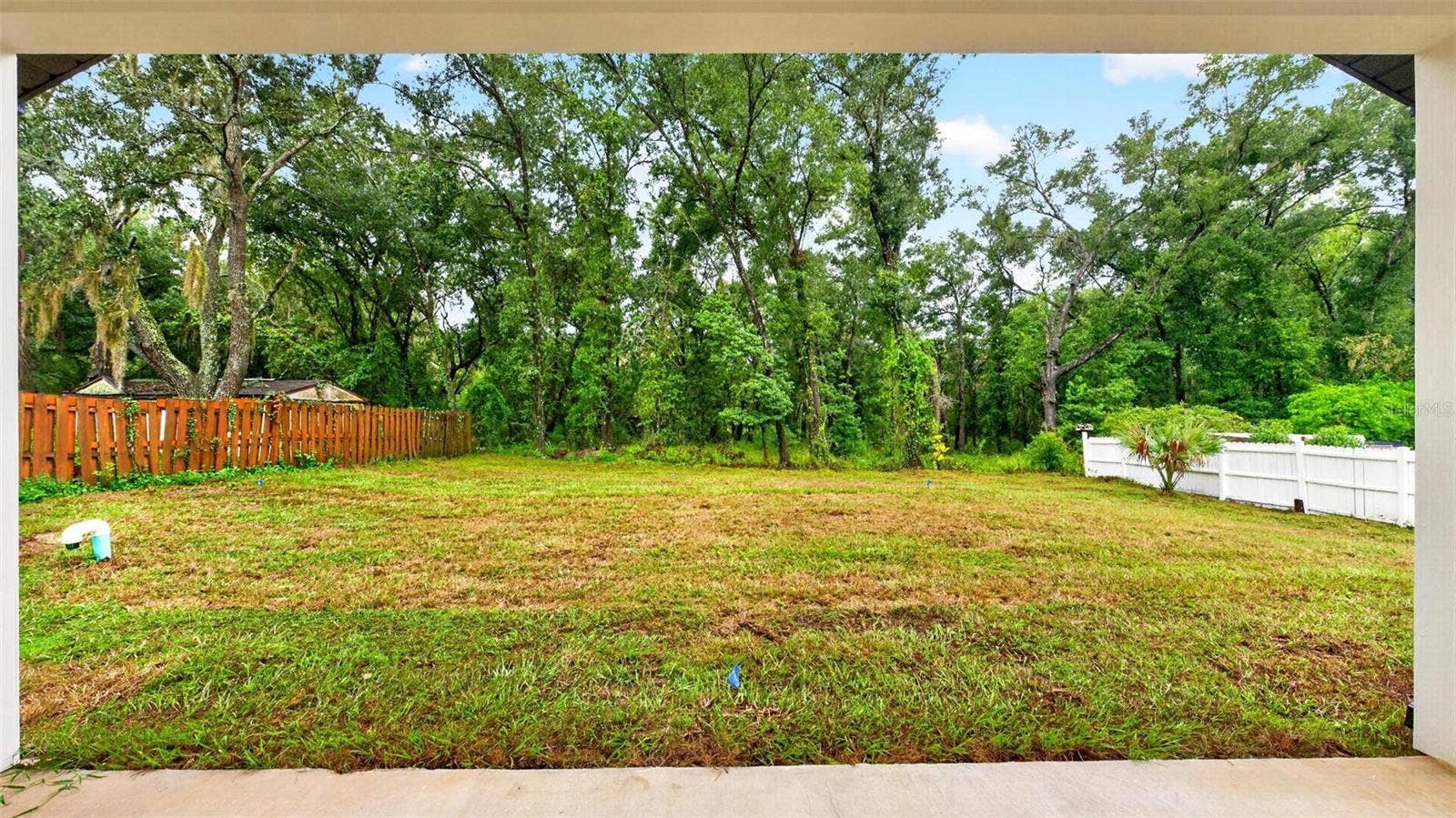 381 CARRIAGE LANE, Lady Lake, FL 32159 Backyard