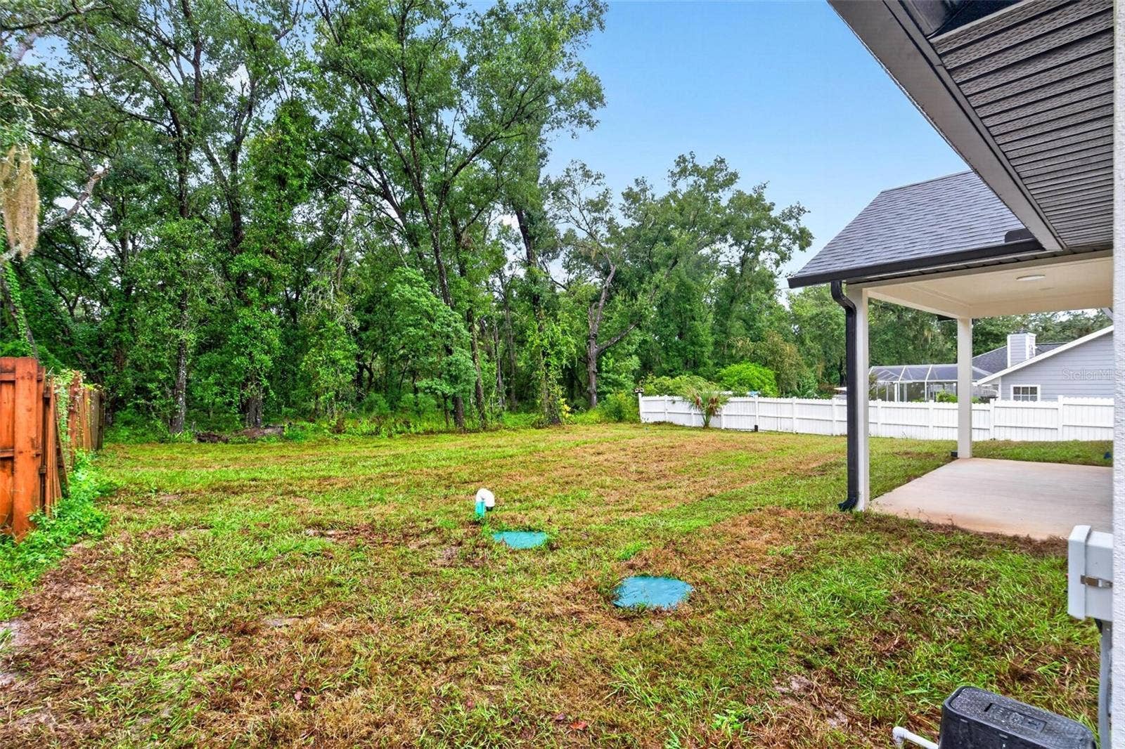 381 CARRIAGE LANE, Lady Lake, FL 32159 Backyard