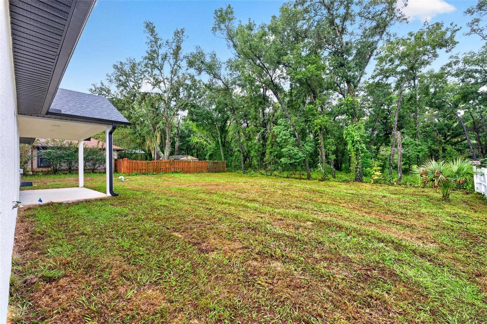 381 CARRIAGE LANE, Lady Lake, FL 32159 Backyard.