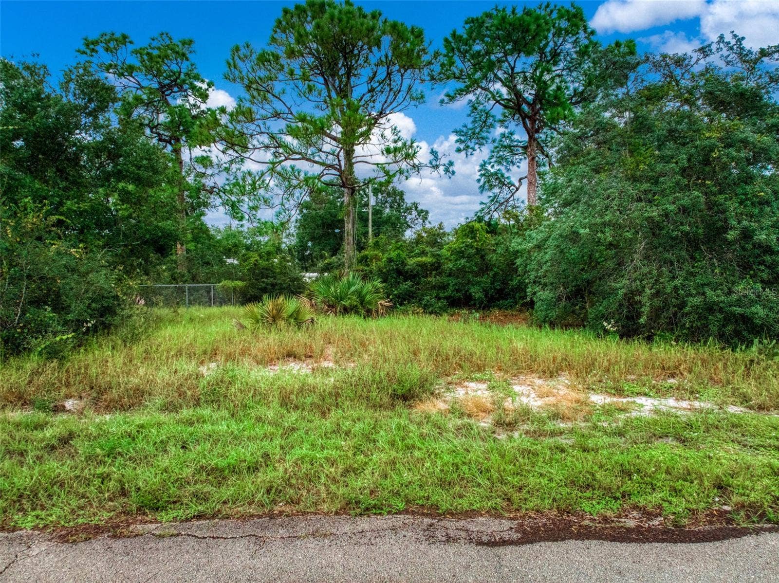 3065 OLEANDER DRIVE, Lake Placid, FL 33852 3065 OLEANDER DRIVE, Lake Placid, FL 33852