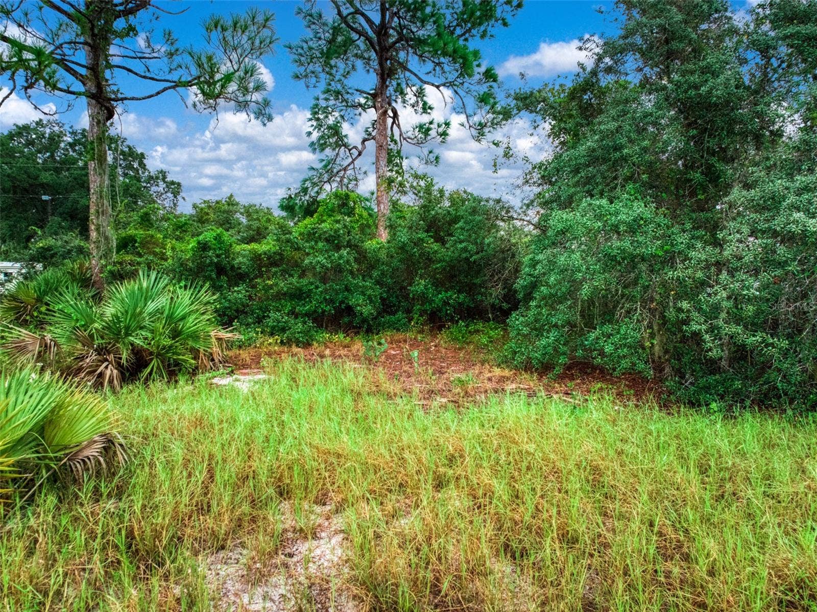 3065 OLEANDER DRIVE, Lake Placid, FL 33852 3065 OLEANDER DRIVE, Lake Placid, FL 33852