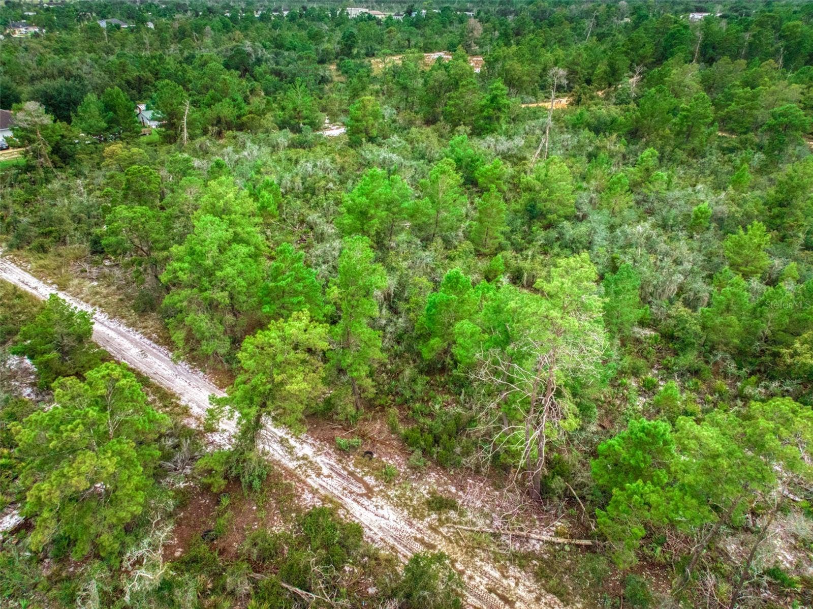 1222 SANDLEWOOD STREET, Lake Placid, FL 33852 1222 SANDLEWOOD STREET, Lake Placid, FL 33852