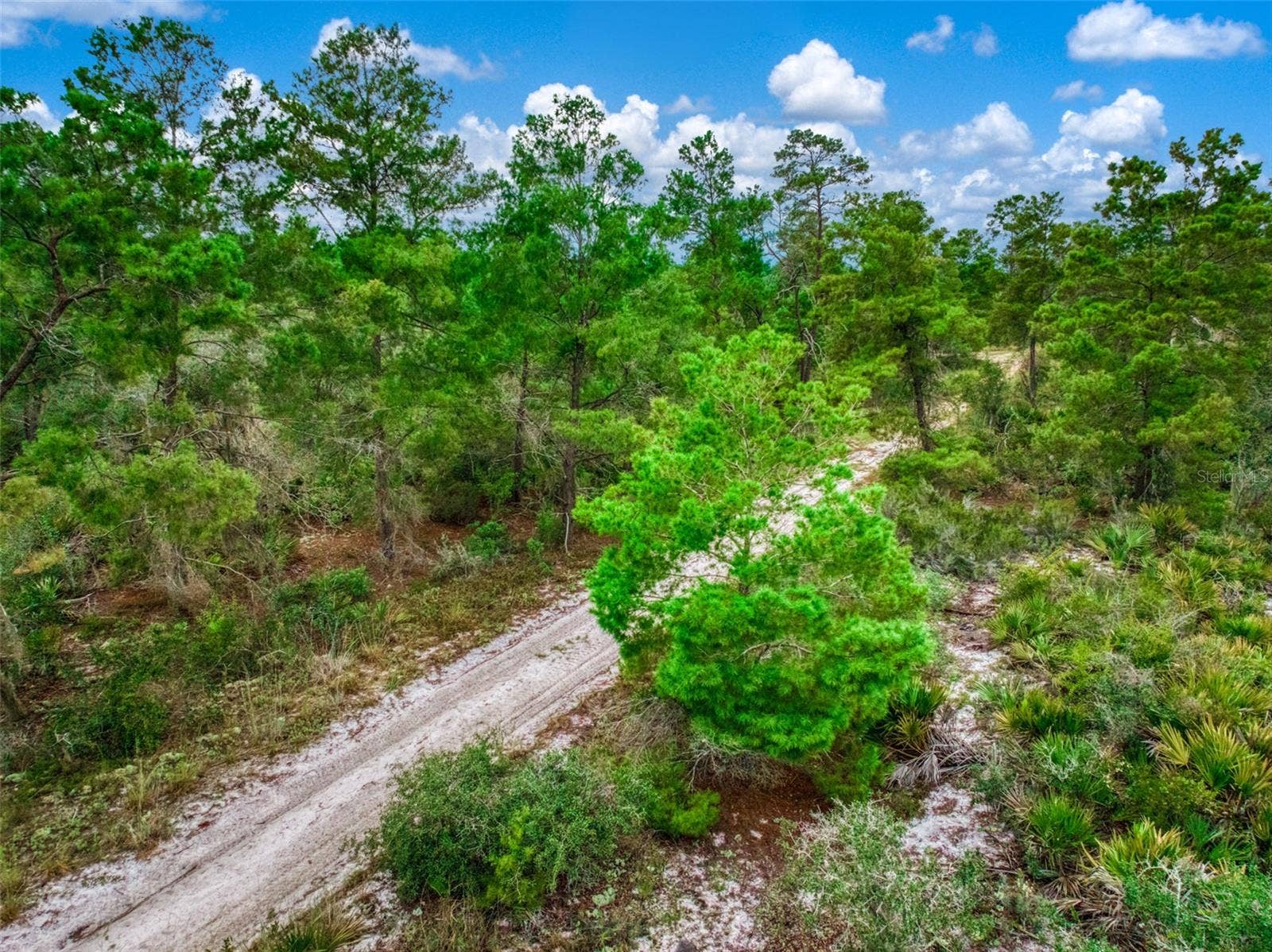 1222 SANDLEWOOD STREET, Lake Placid, FL 33852 1222 SANDLEWOOD STREET, Lake Placid, FL 33852