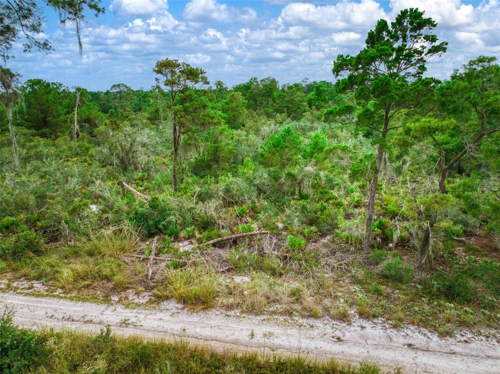 1222 SANDLEWOOD STREET, Lake Placid, FL 33852 1222 SANDLEWOOD STREET, Lake Placid, FL 33852