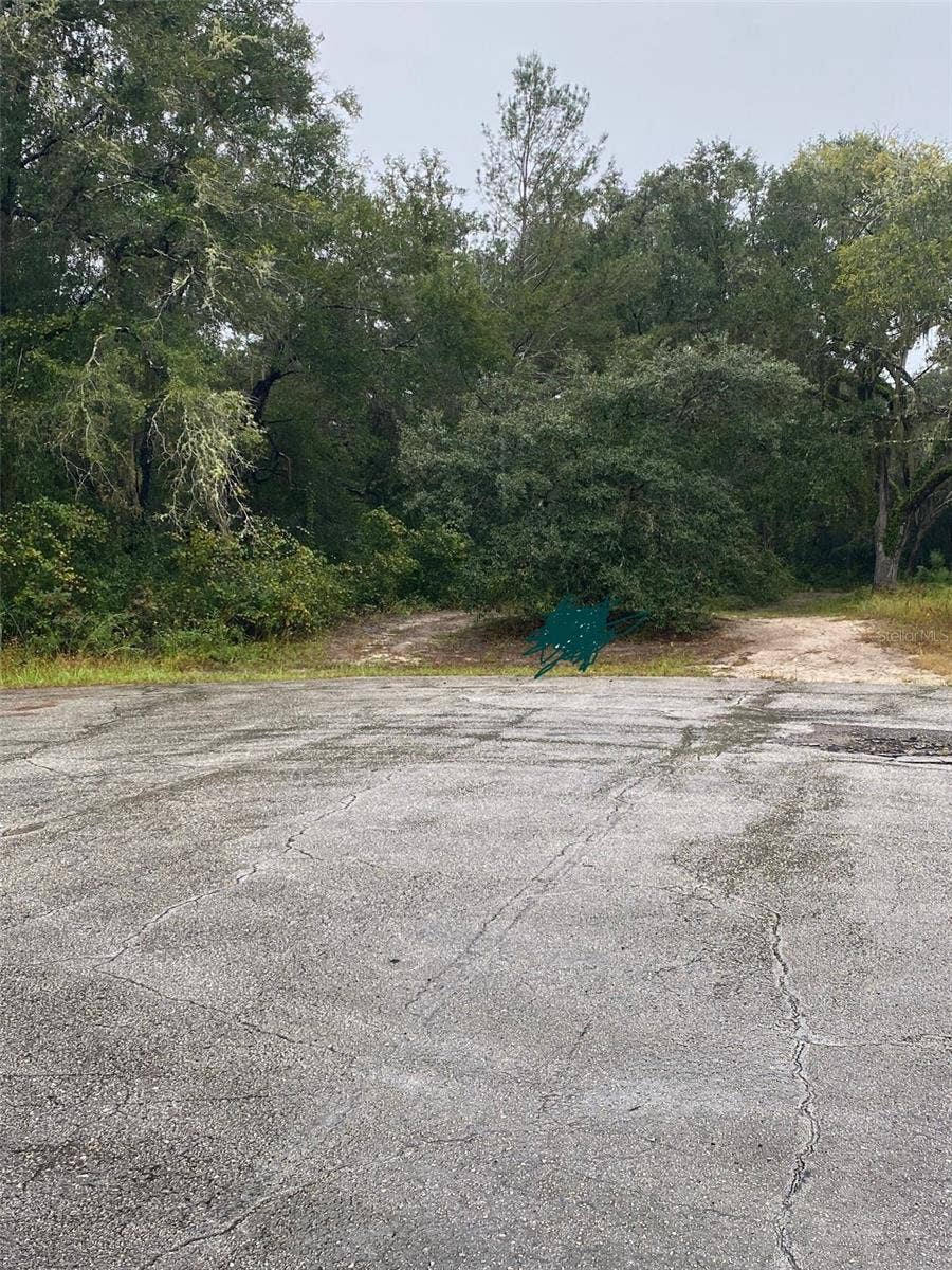 TBD SW 173 PLACE, Ocala, FL 34473