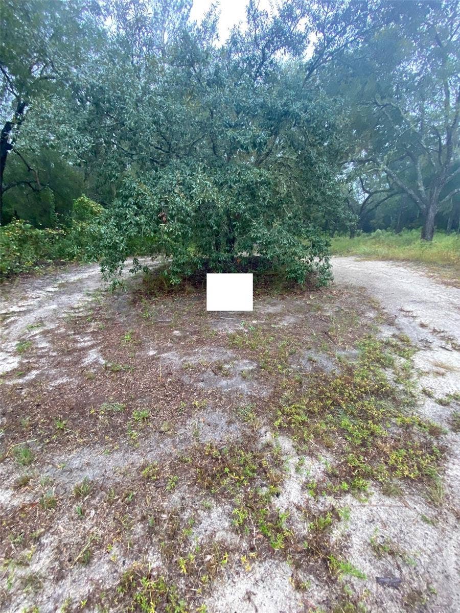 TBD SW 173 PLACE, Ocala, FL 34473