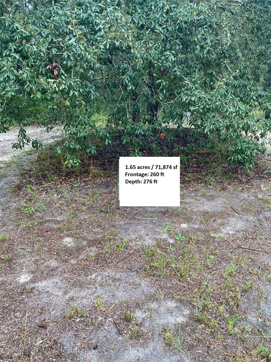 TBD SW 173 PLACE, Ocala, FL 34473