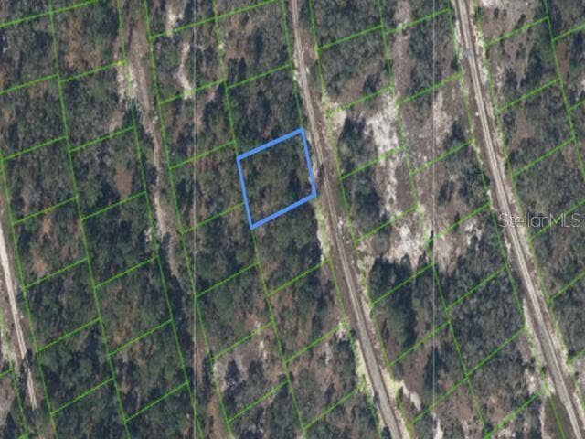 214 ISLAND MIST DRIVE, Lake Placid, FL 33852