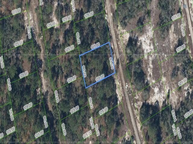 214 ISLAND MIST DRIVE, Lake Placid, FL 33852