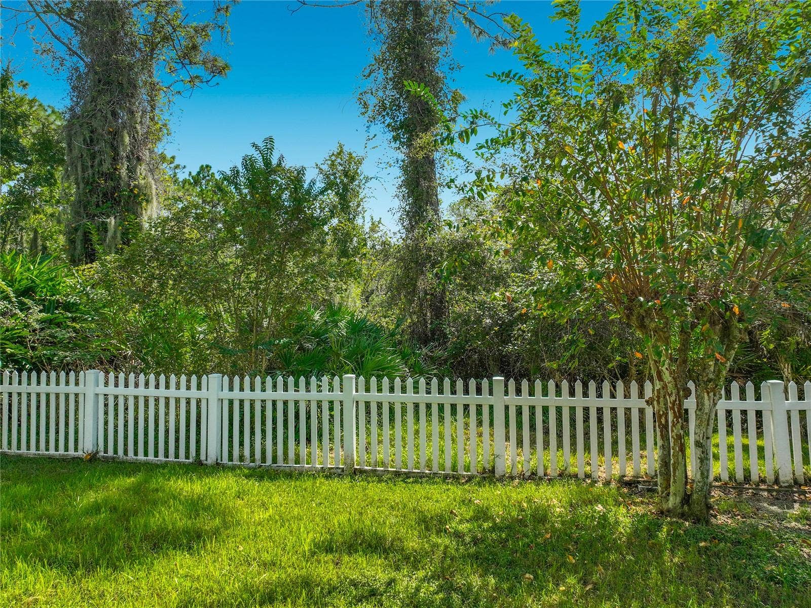 14226 BRADBURY ROAD, Orlando, FL 32828 14226 BRADBURY ROAD, Orlando, FL 32828