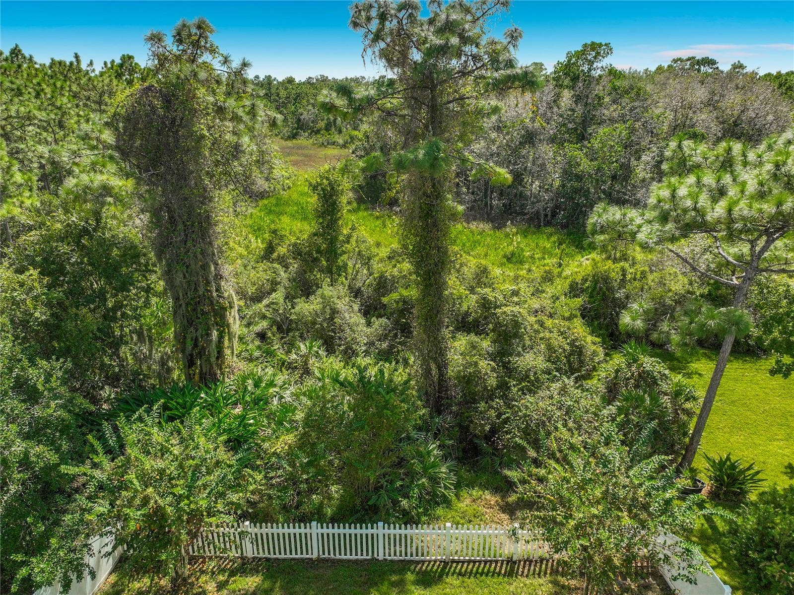 14226 BRADBURY ROAD, Orlando, FL 32828 14226 BRADBURY ROAD, Orlando, FL 32828