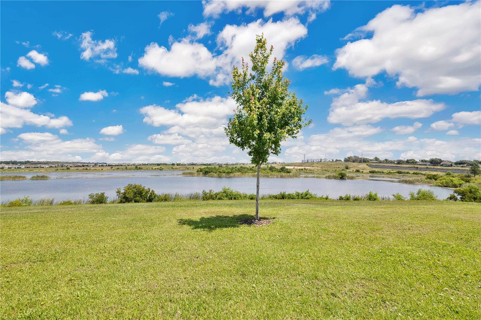 3280 CANNA LILY PLACE, Clermont, FL 34711 3280 CANNA LILY PLACE, Clermont, FL 34711