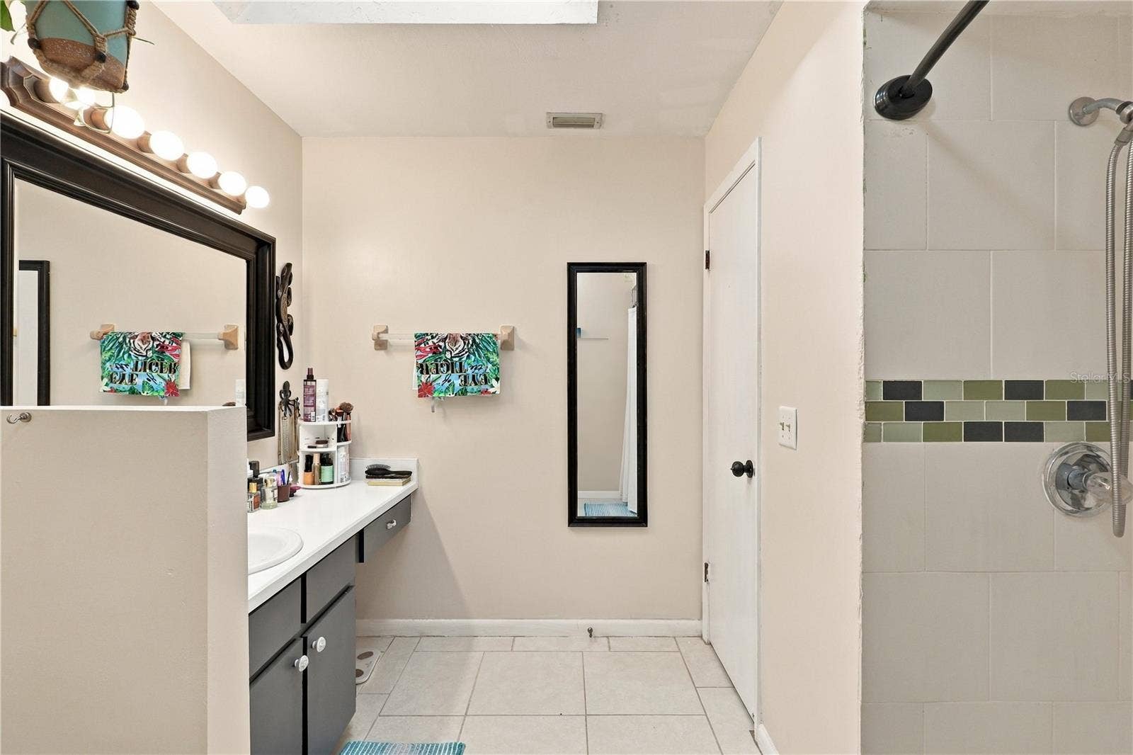 Master Bathroom, Stand-Up Shower, 1 Sink, Large Mirror and Small Vanity Area.