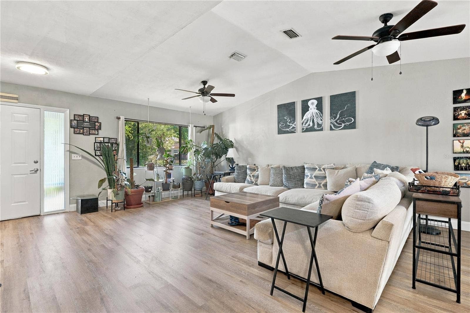 Front Entrance into Living Room, Lots of Natural Sunlight